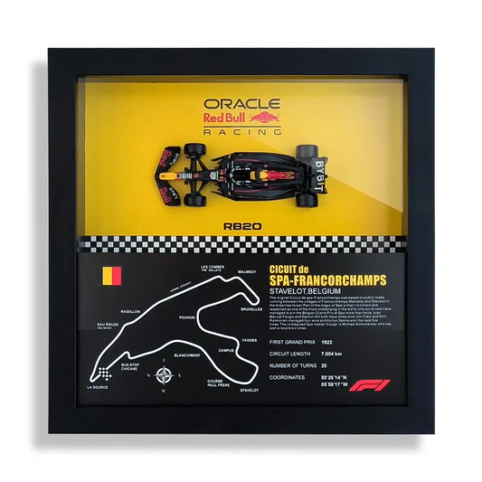 Red Bull RB20 x Max Verstappen